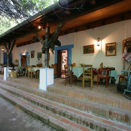 Salas 137 Hotel Cenej Zewnętrze zdjęcie