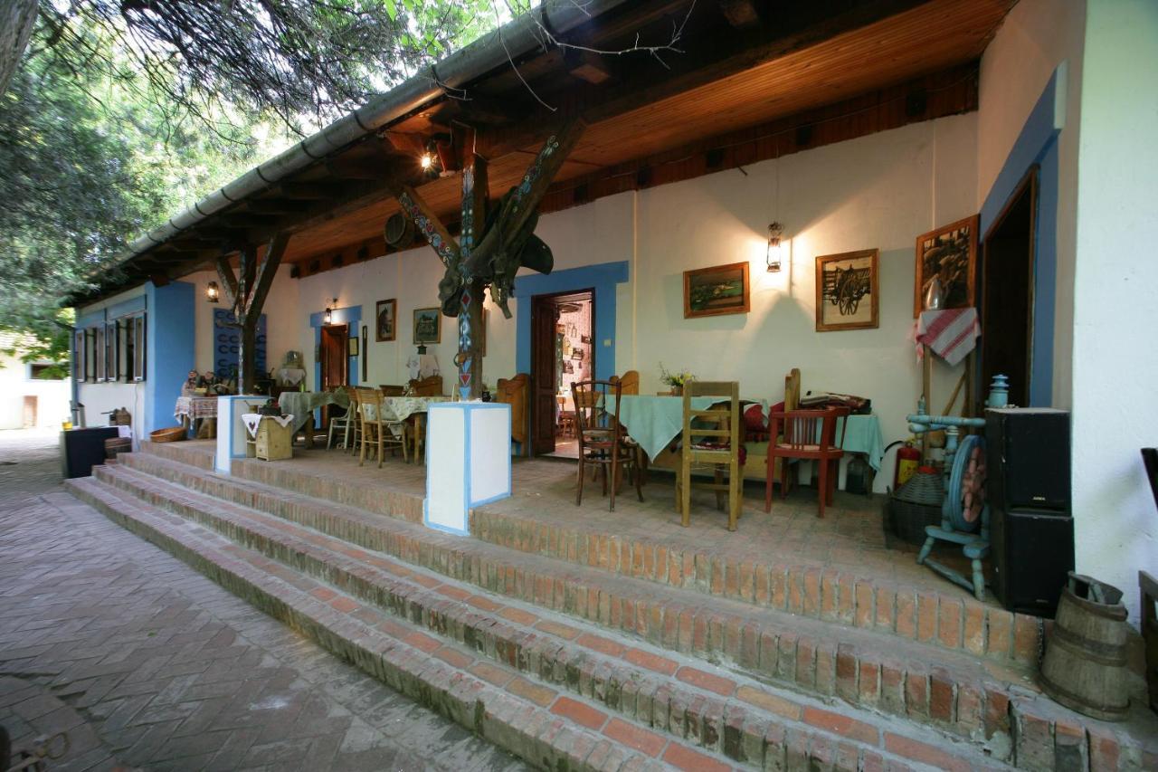 Salas 137 Hotel Cenej Zewnętrze zdjęcie