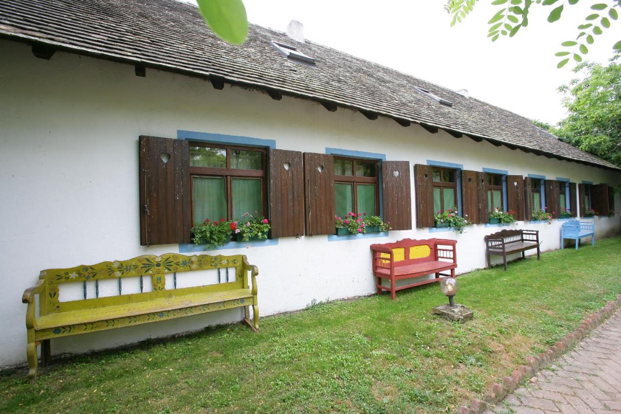 Salas 137 Hotel Cenej Zewnętrze zdjęcie